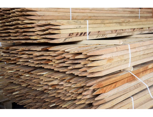 Tuteur acacia carré - 22x22x1500 mm